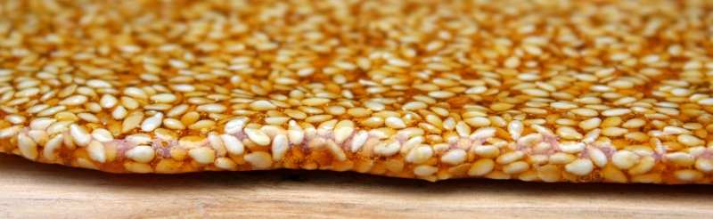 sesame snap2 resized